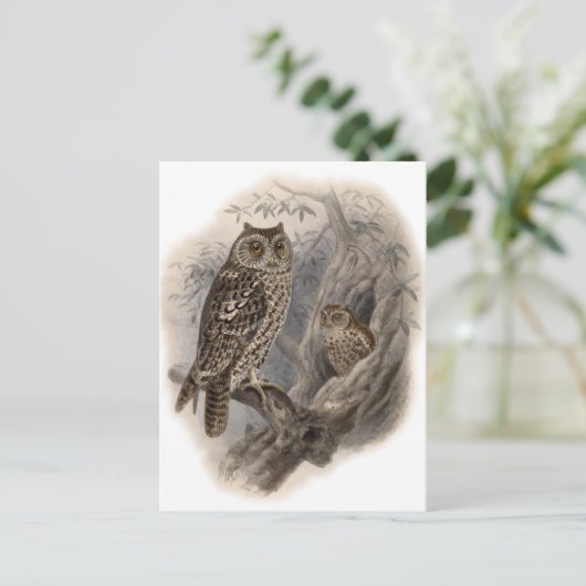 Brown Owl Postkarte (Stehend Vorderseite)