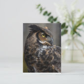 Brown Owl Postkarte (Stehend Vorderseite)