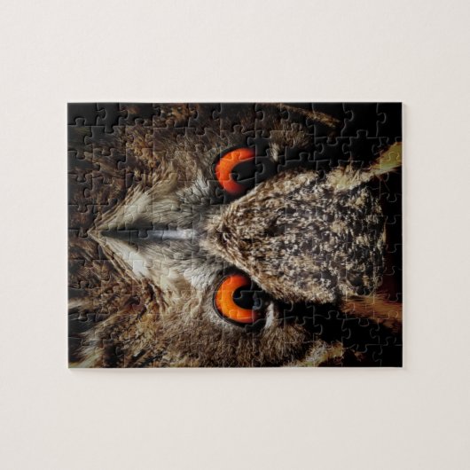 Brown Owl Puzzle (Horizontal)