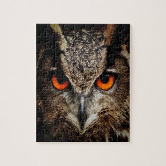 Brown Owl Puzzle