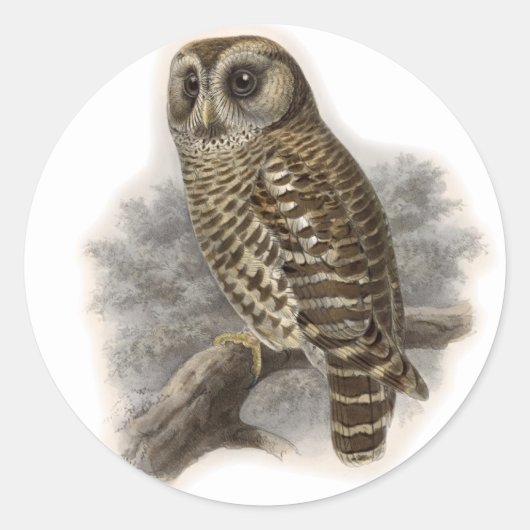 Brown Owl Runder Aufkleber (Vorderseite)