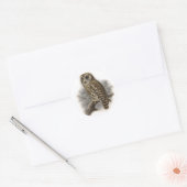 Brown Owl Runder Aufkleber (Umschlag)