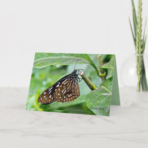 Brown Painted Butterfly Karte