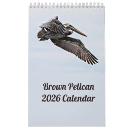 Brown Pelican 2025 Kalender