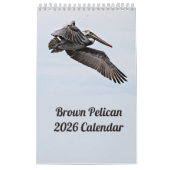 Brown Pelican 2025 Kalender (Titelbild)