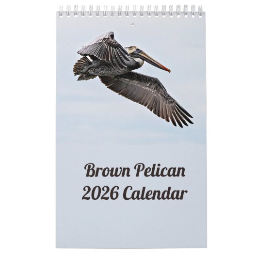 Brown Pelican 2025 Kalender (Titelbild)