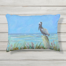 Brown Pelican an der Küste