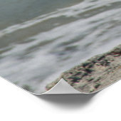 Brown Pelican auf dem Beach Foto Poster (Ecke)