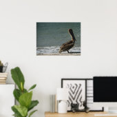 Brown Pelican auf dem Beach Foto Poster (Heimbüro)