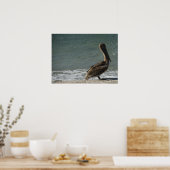 Brown Pelican auf dem Beach Foto Poster (Küche)
