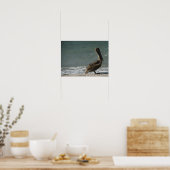 Brown Pelican auf dem Beach Foto Poster (Küche)