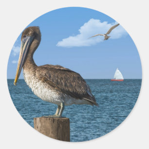 Brown Pelican auf einem Postaufkleber Runder Aufkleber