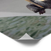 Brown Pelican Balancing on a Rope, Florida Poster (Ecke)