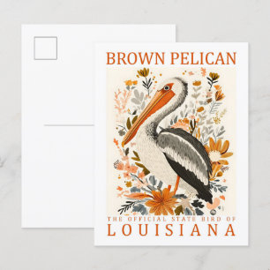 Brown Pelican Bird of Louisiana USA Travel Postkarte