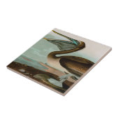 Brown Pelican Birds America Audubon Print Fliese (Seite)