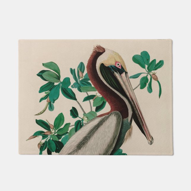 Brown Pelican Birds America Audubon Print Fußmatte (Vorderseite)