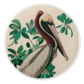 Brown Pelican Birds America Audubon Print Keramikknauf (Vorderseite)