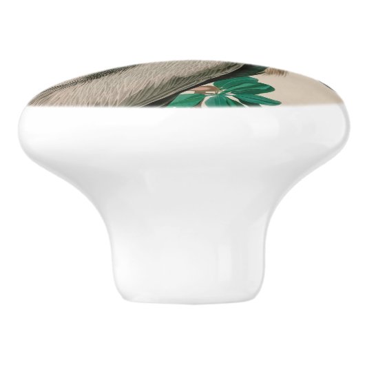 Brown Pelican Birds America Audubon Print Keramikknauf (Seitenansicht)