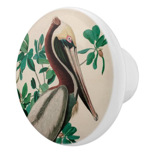 Brown Pelican Birds America Audubon Print Keramikknauf (Rechts)