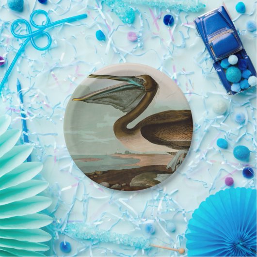 Brown Pelican Birds America Audubon Print Pappteller (Party)