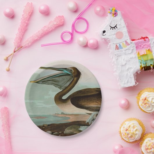 Brown Pelican Birds America Audubon Print Pappteller (Party)