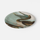 Brown Pelican Birds America Audubon Print Pappteller (Schrägansicht)