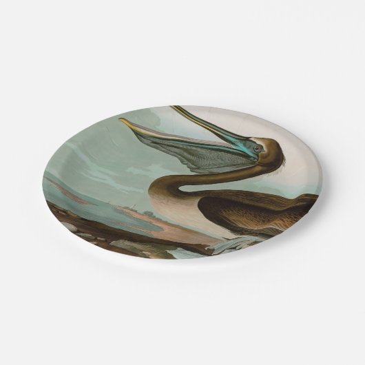 Brown Pelican Birds America Audubon Print Pappteller (Schrägansicht)