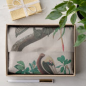 Brown Pelican Birds America Audubon Print Seidenpapier (Geschenk)