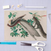 Brown Pelican Birds America Audubon Print Seidenpapier (Handwerk)