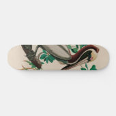 Brown Pelican Birds America Audubon Print Skateboard (Horizontal)