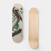 Brown Pelican Birds America Audubon Print Skateboard (Vorderseite)