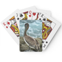 Brown Pelican by Ocean