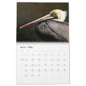 Brown Pelican Calendar Kalender (Mär 2026)