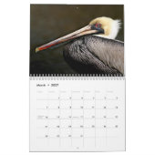 Brown Pelican Calendar Kalender (Mär 2027)