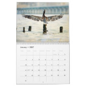 Brown Pelican Calendar Kalender (Jan 2027)