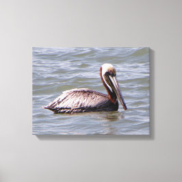 Brown Pelican Canvas Leinwanddruck
