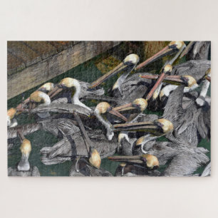 Brown Pelican Crowd, Florida Puzzle