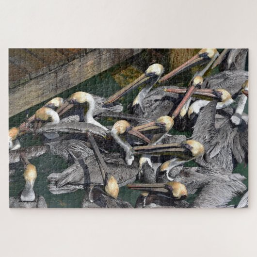 Brown Pelican Crowd, Florida Puzzle (Horizontal)