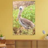Brown Pelican Leinwanddruck (Insitu (Wohnzimmer))