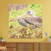 Brown Pelican Leinwanddruck (Insitu (Wohnzimmer))