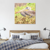 Brown Pelican Leinwanddruck (Insitu (Schlafzimmer))
