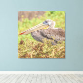Brown Pelican Leinwanddruck (Insitu (Holzboden))