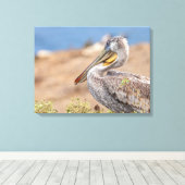 Brown Pelican Leinwanddruck (Insitu (Holzboden))