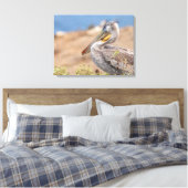 Brown Pelican Leinwanddruck (Insitu (Schlafzimmer))