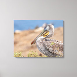 Brown Pelican Leinwanddruck