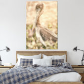 Brown Pelican Leinwanddruck (Insitu (Schlafzimmer))