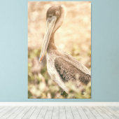 Brown Pelican Leinwanddruck (Insitu (Holzboden))