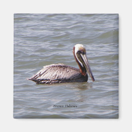 Brown Pelican-Magnet Magnet