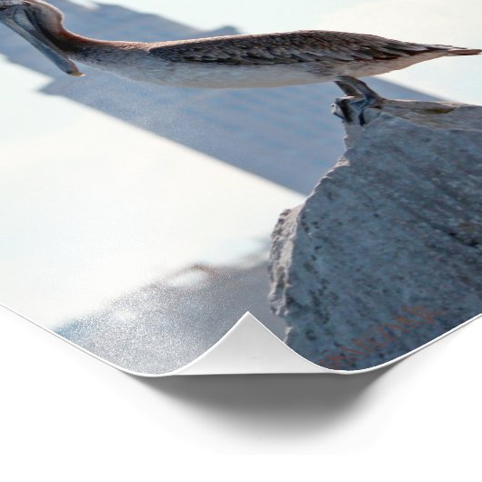 Brown Pelican mit Terminal Tower in Cleveland Fotodruck (Ecke)