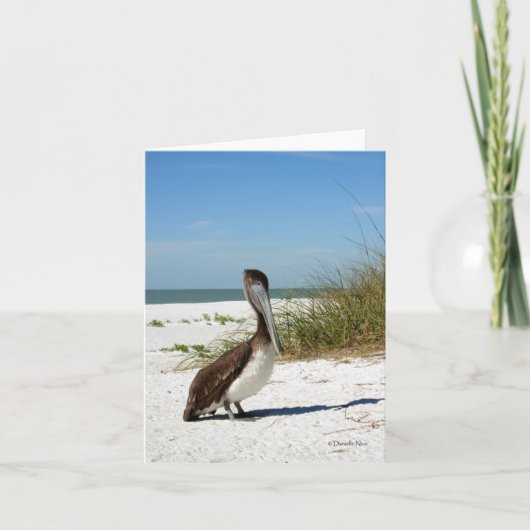 Brown Pelican Notecard Karte (Vorderseite)